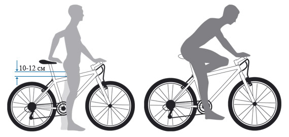 Как выбрать велосипед? Руководство к действию