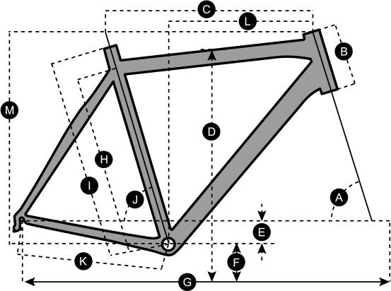 Speedster gravel 10 2019 outlet