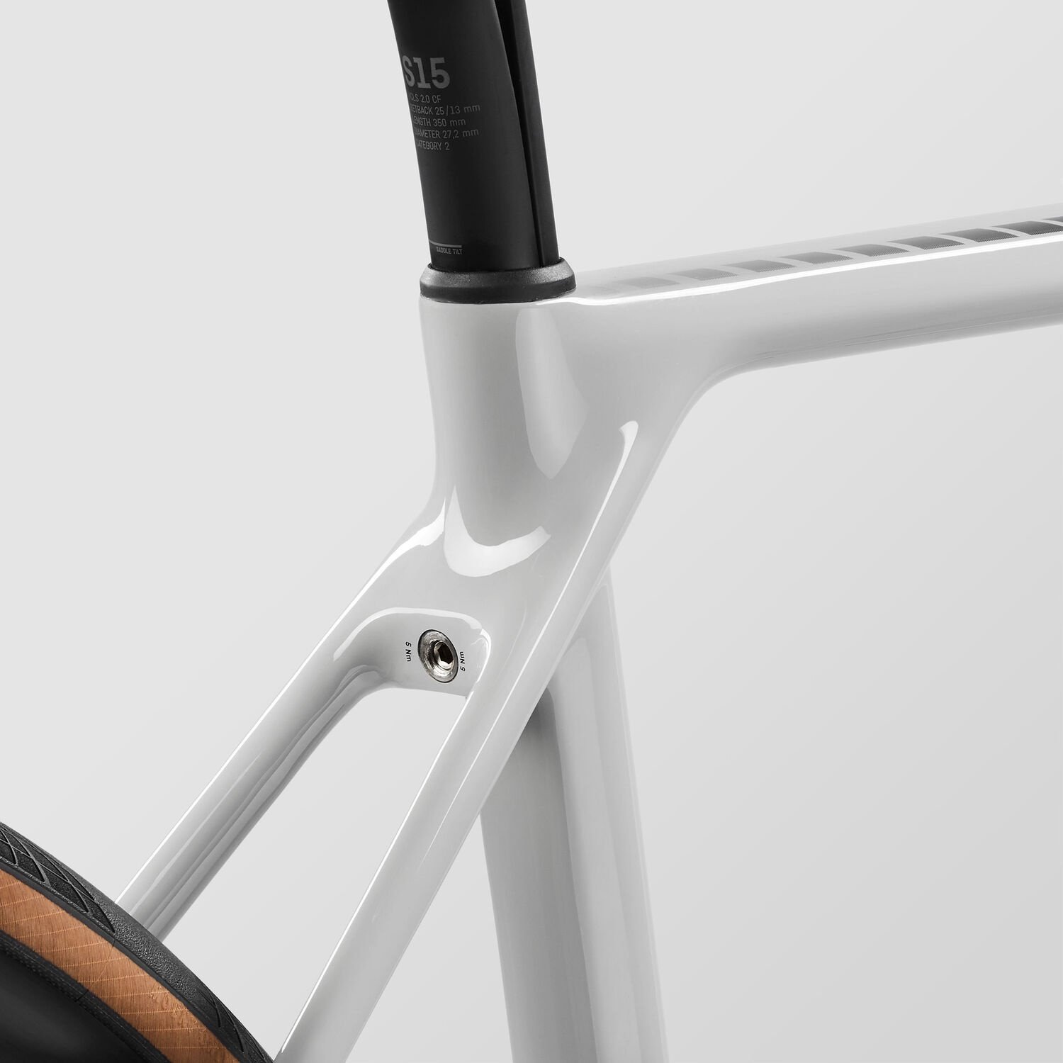 Canyon Endurace CF SL 8 Disc Di2 2021