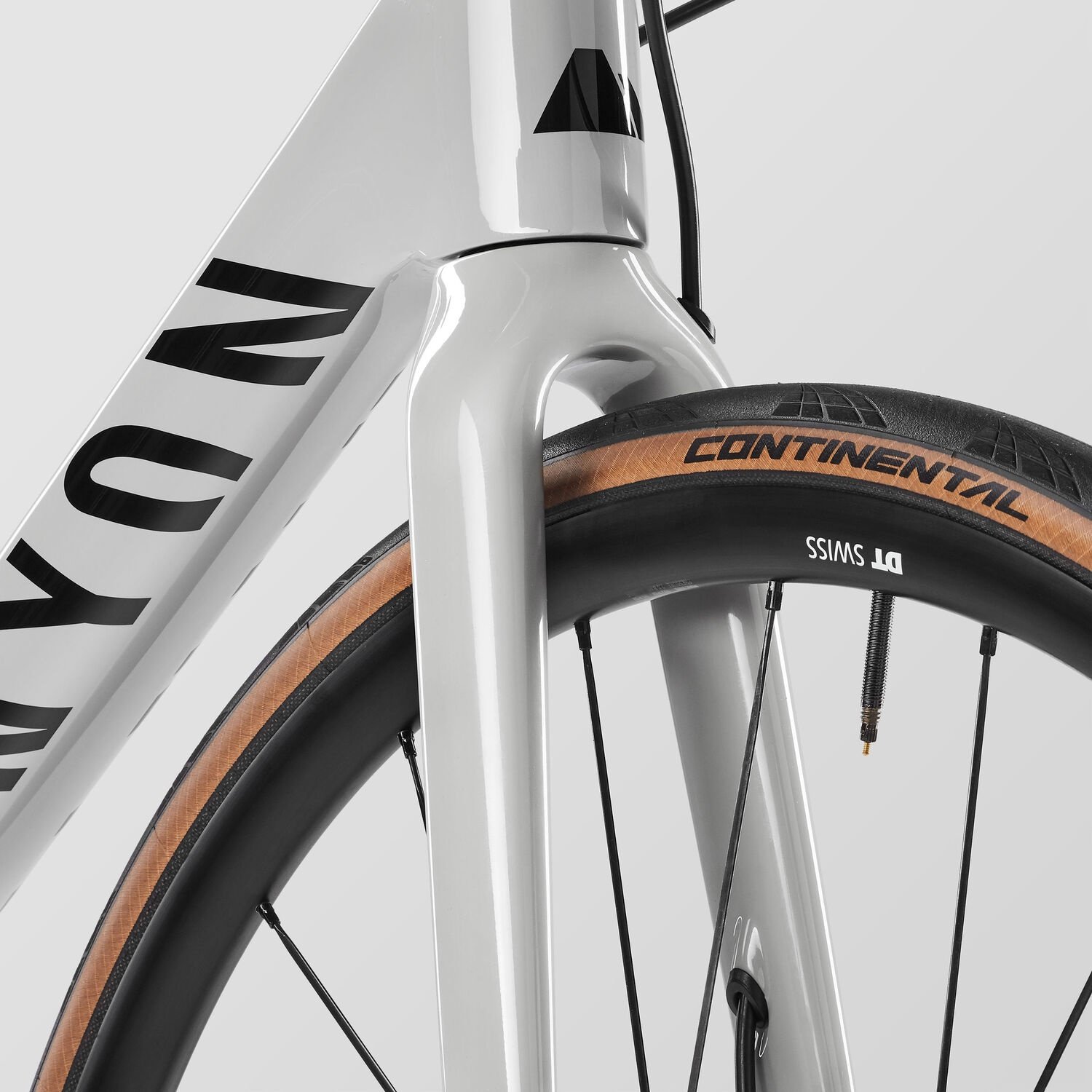Canyon Endurace CF SL 8 Disc Di2 2021 Mag Russia