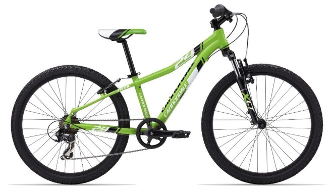 Велосипед Cannondale Trail 24 Boy's (2015)