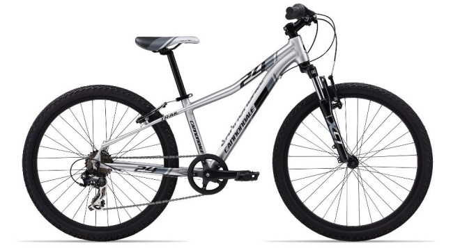 Велосипед Cannondale Trail 24 Boy's (2015)