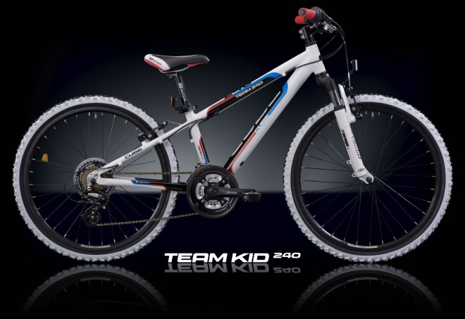 Детский велосипед Cube TEAM KID 240