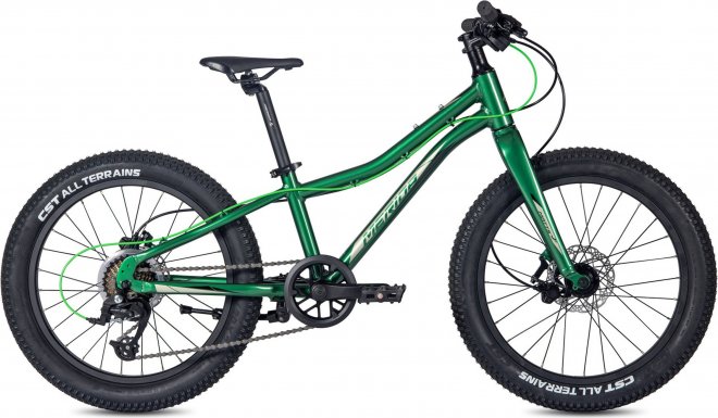 Велосипед Merida Matts J.20+ Pro (2023) Silk Evergreen/Black/Champagne