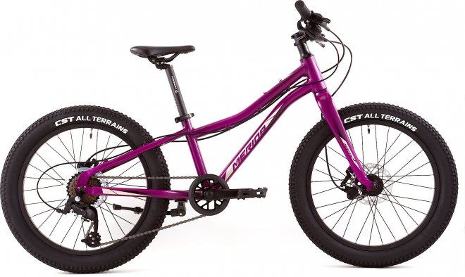 Велосипед Merida Matts J.20+ Pro (2023) Purple/Black/Champagne