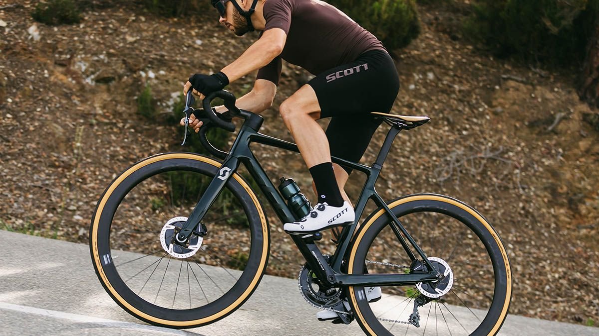 Addict rc shop premium 2020